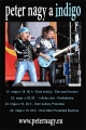 Peter Nagy a kapela Indigo 